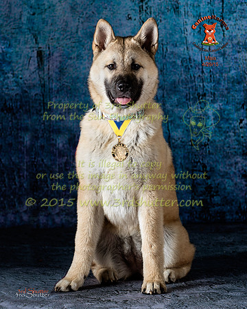 BV2A0367-Edit-Edit