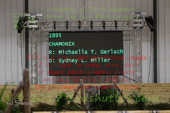 0M3A7935