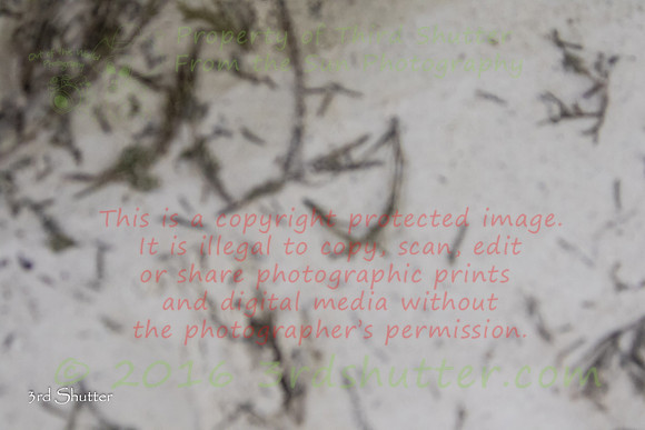 0E5A8292