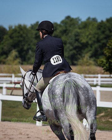 F43Q7501