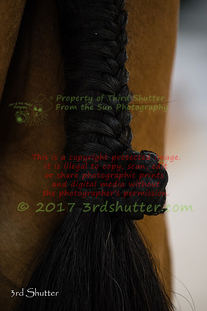 _1SF1865