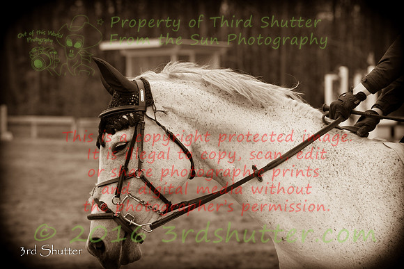BV2A7681-2