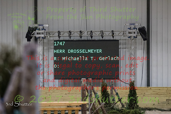 0H3A7037