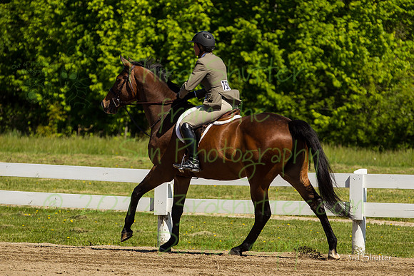 BN1C1666