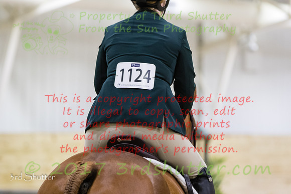 0M3A1667