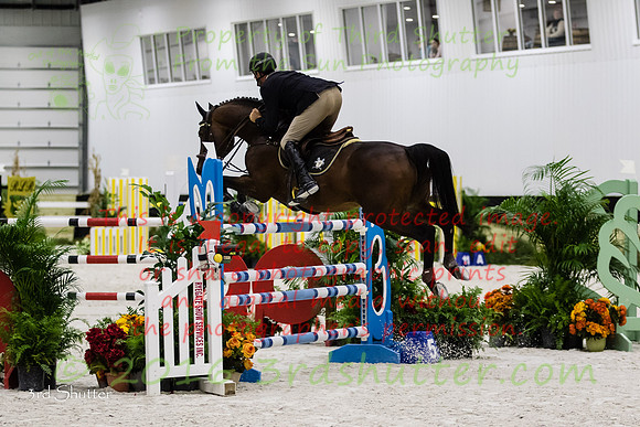 BV2A2648