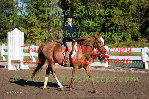 F43Q7033