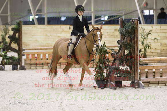 BV2A1433