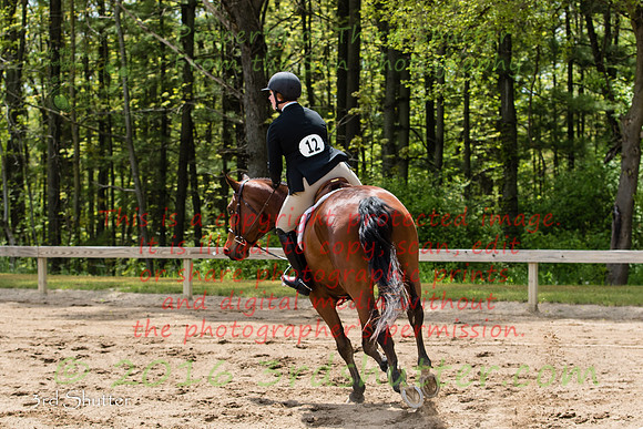 BV2A5079