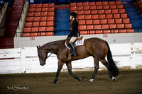 Hunter - AQHA Novice Youth