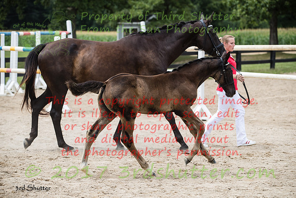 A18I4661