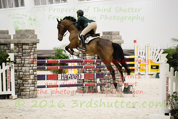 _1SF0991
