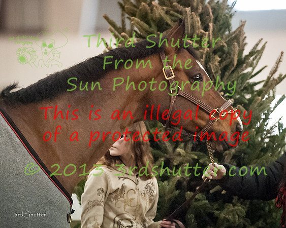 _DSC0221
