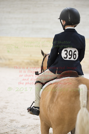 _1SF1349