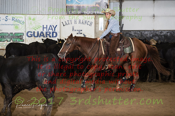 A18I8645