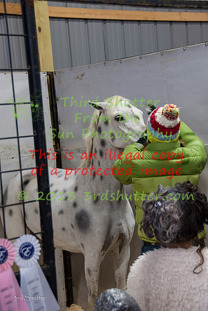 131019_Halloween_0227