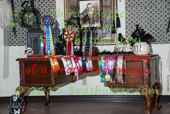 131019_Halloween_0239