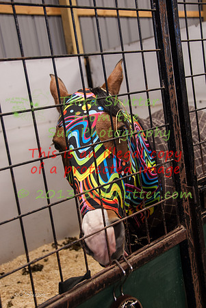 131019_Halloween_0224