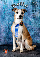 A18I5108-Edit-Edit
