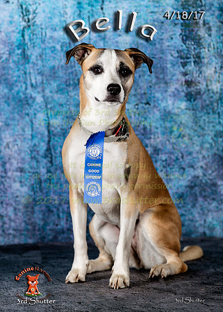 A18I5108-Edit-Edit