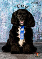 A18I5096-Edit-Edit