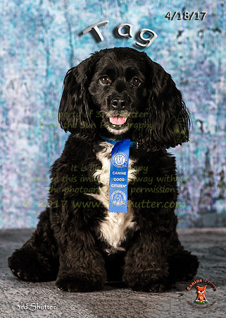 A18I5096-Edit-Edit