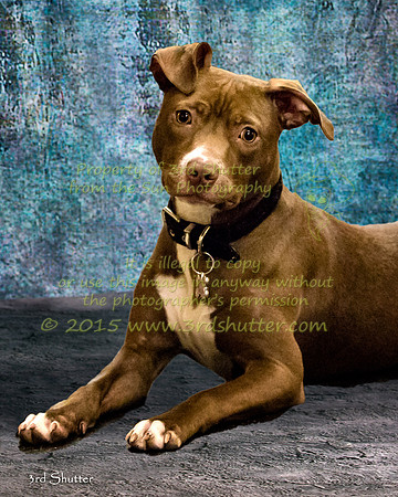 BV2A5157-Edit