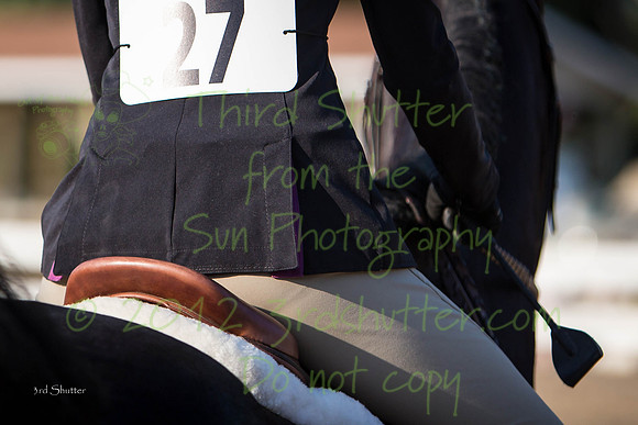 3Z6C0293
