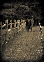 0B2D3894-Edit