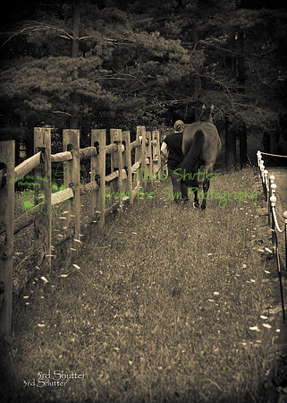 0B2D3894-Edit