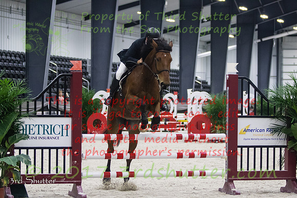 0M3A0333