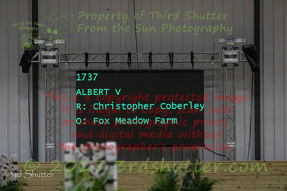 0E5A9165