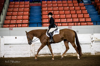 Hunter - AQHA Novice Amateur