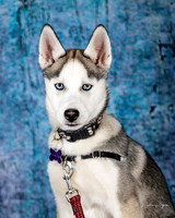 A18I0022-Edit-Edit-2