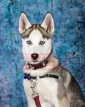 A18I0022-Edit-Edit-2