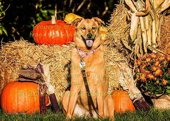 IMG_1856-Edit
