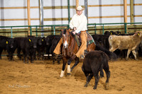 Steiger