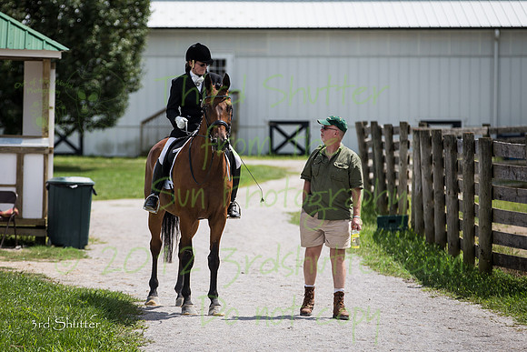 BY5Q2005