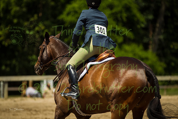 BN1C2019