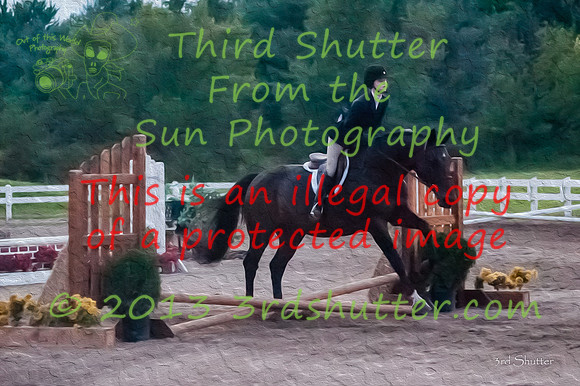 130817_WalkTrotClassic_0635-Edit