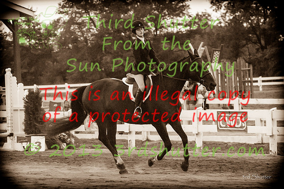 130817_WalkTrotClassic_0627