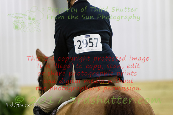 0M3A9493