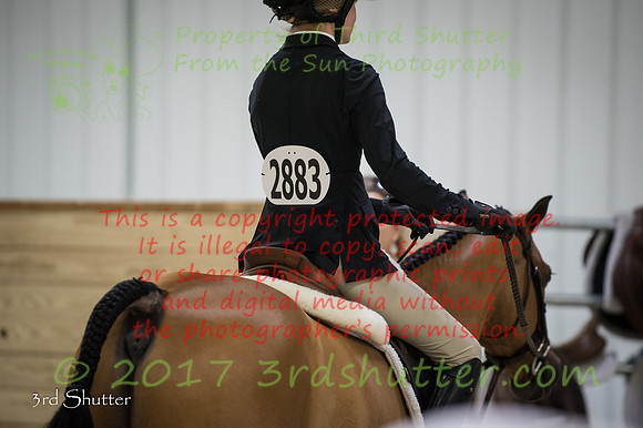 _1SF4563