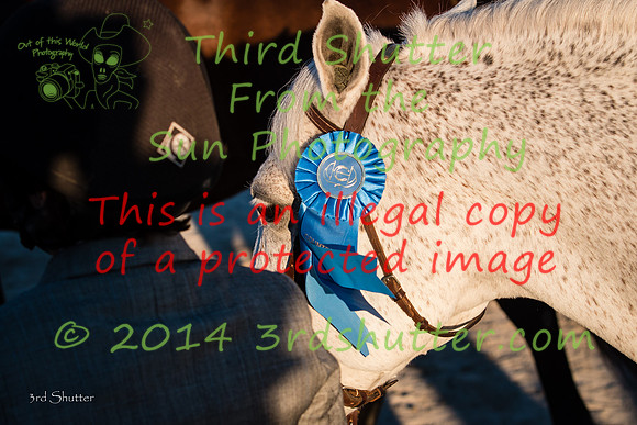 IMG_1297