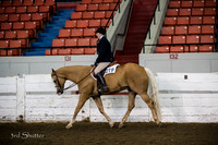 Hunter - AQHA Amateur Select