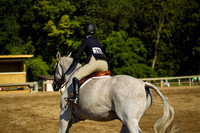 BN1C1686