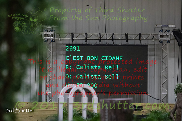 0E5A9350