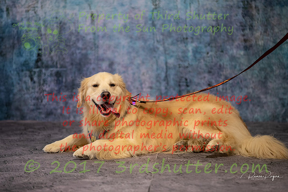 A18I0839