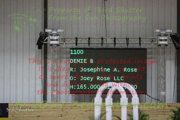 0E5A4413