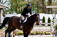 BV2A1253